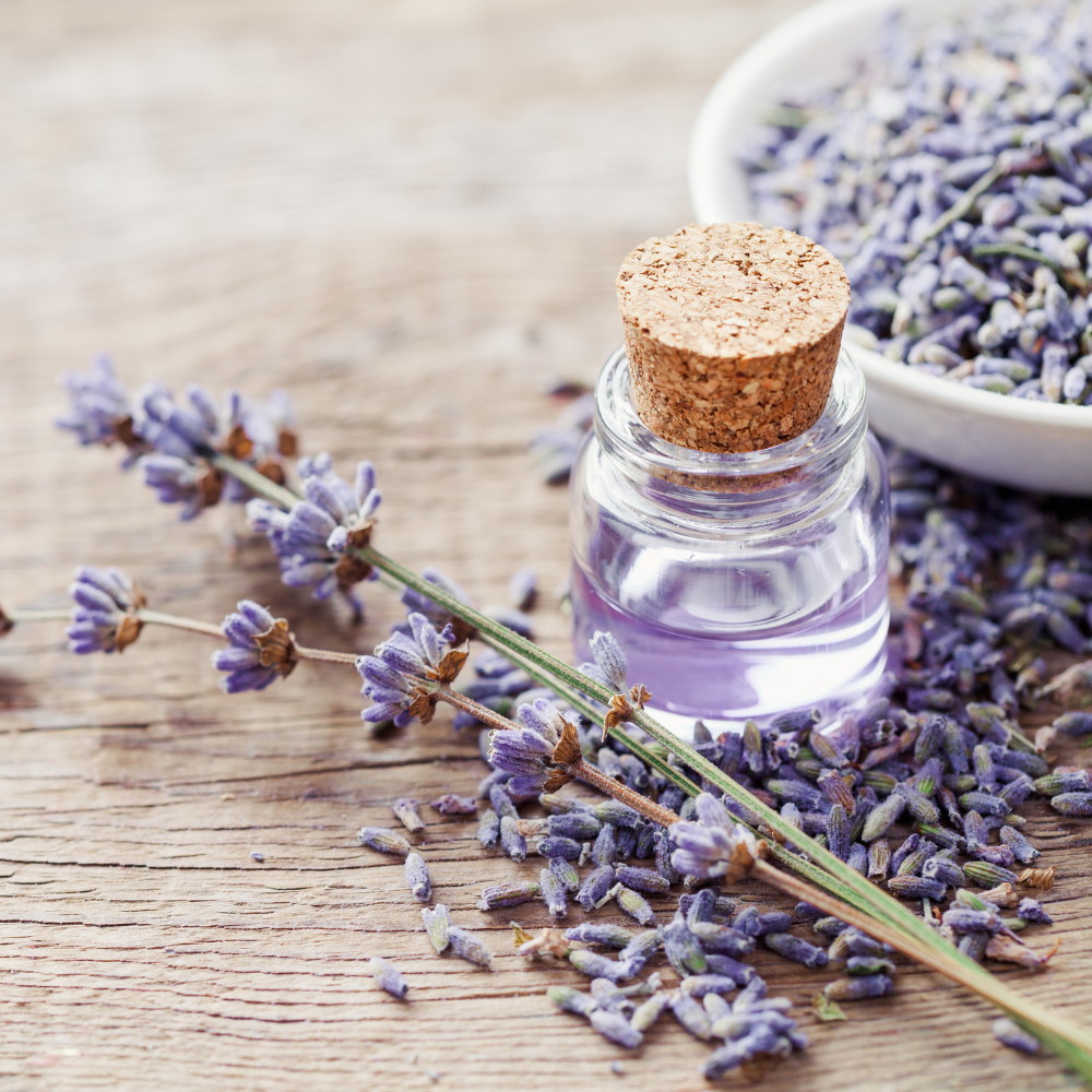 Lavender Flower Buds, Dried, USDA Organic, Kosher, 1 oz / 4 oz / 8 oz