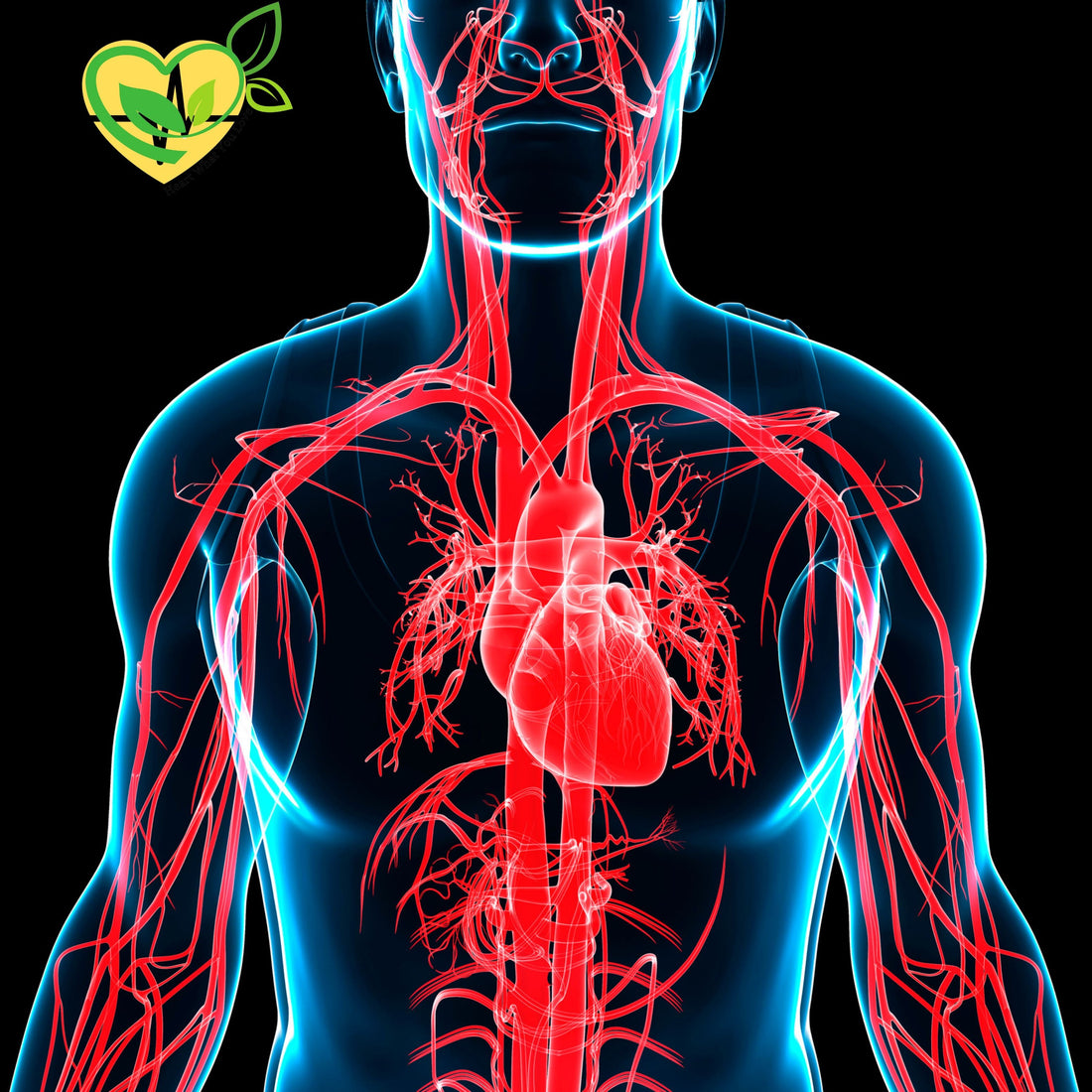 "Boost Platelet Health Naturally with Herbal Remedies for Wellness"