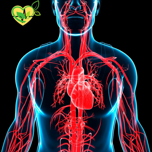 "Boost Platelet Health Naturally with Herbal Remedies for Wellness"