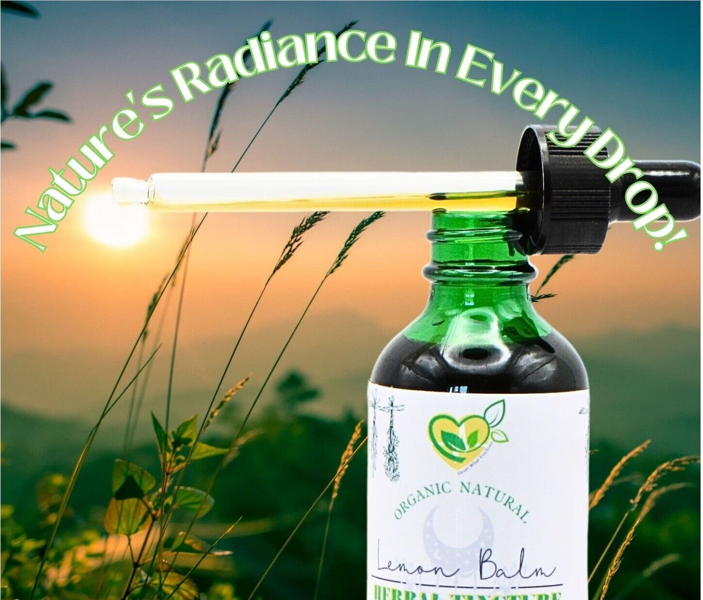 Lemon Balm Extract Non-Alcohol Liquid Herb Drops Organic Natural Aid 2 oz