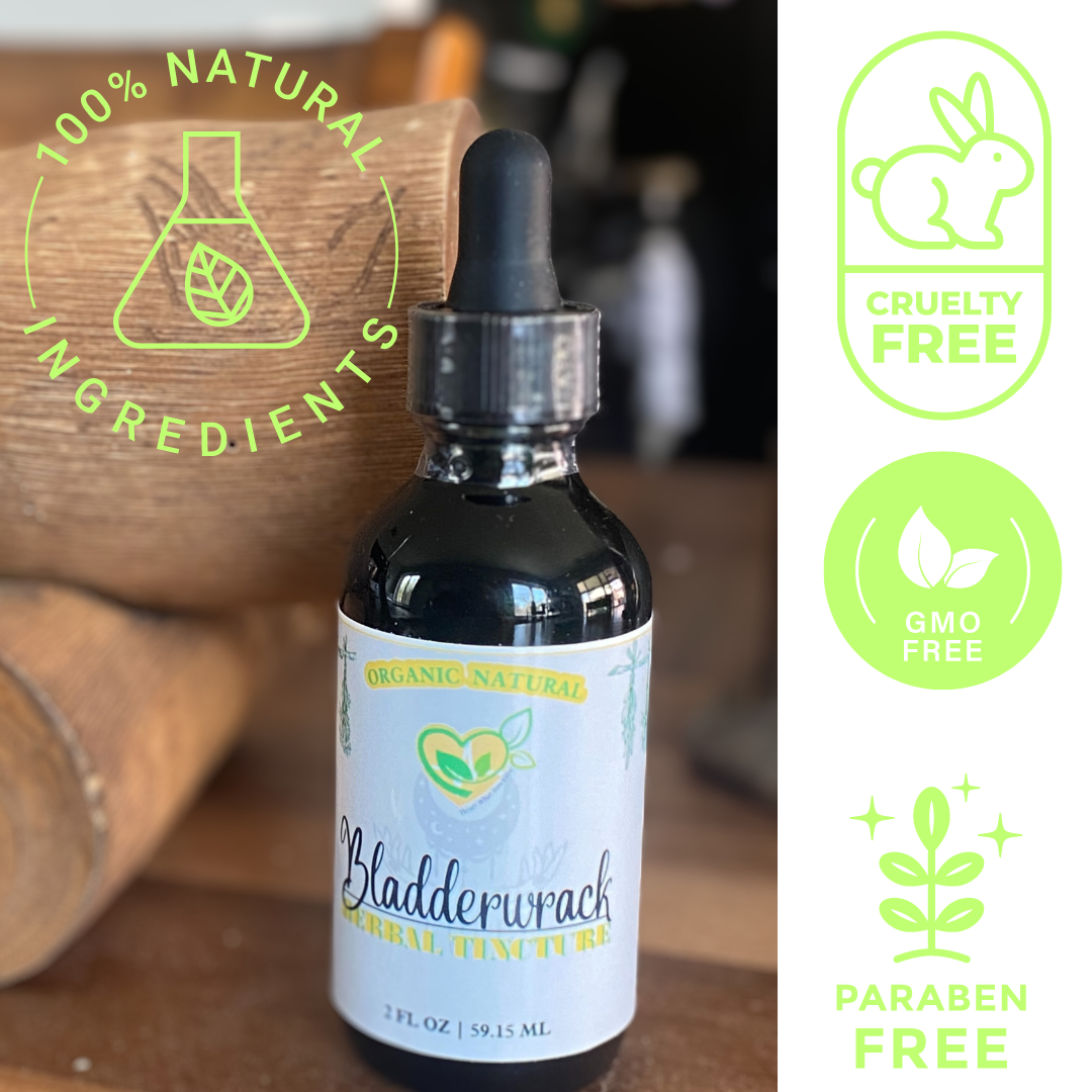 Bladderwrack Tincture Natural Organic Liquid Herbal Drops 2 oz Thyroid Support