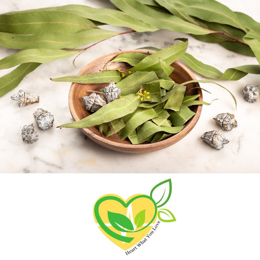 Eucalyptus Leaf Herb Natural Organic Dried Cut Kosher 28.3g | 1 OZ Botanical Aid