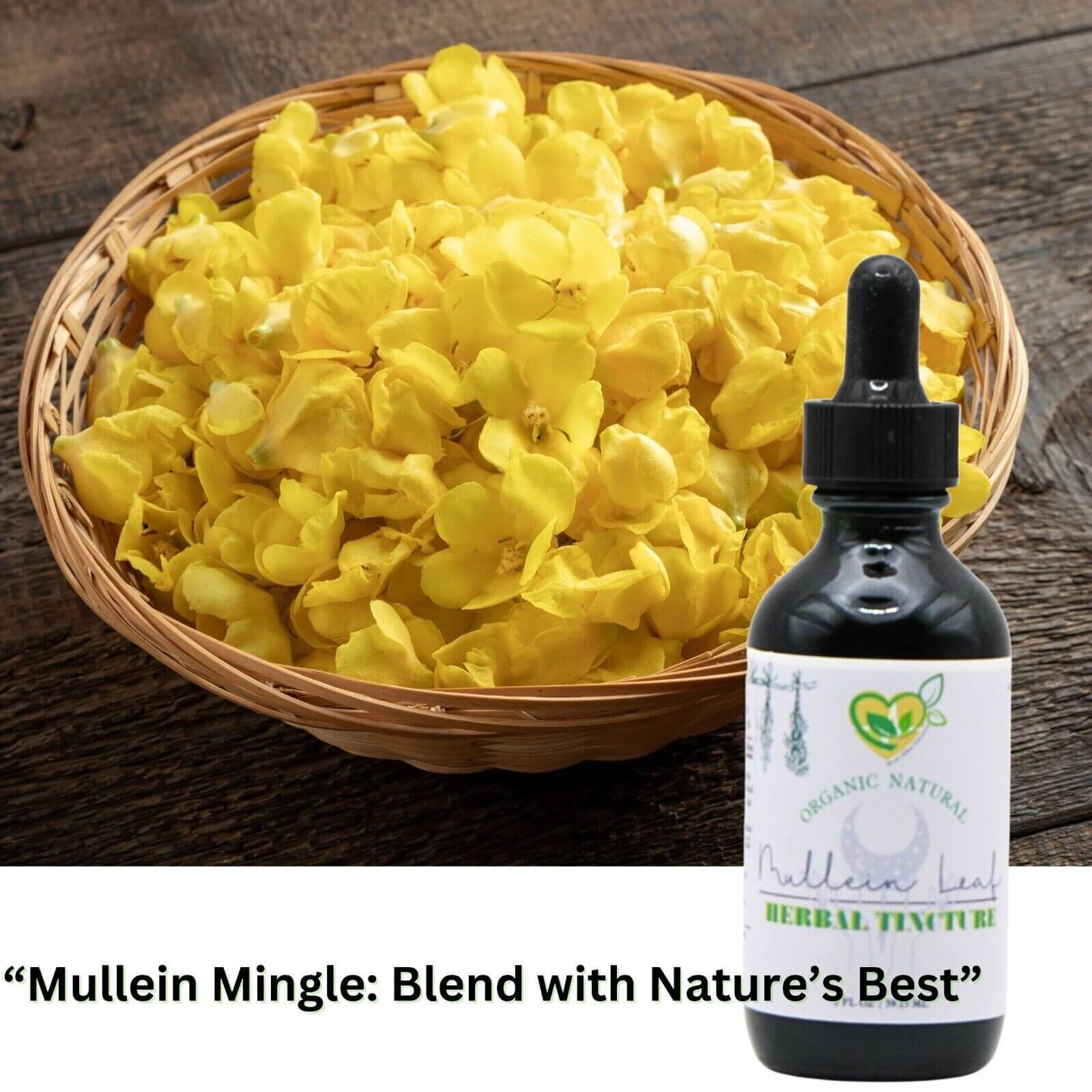 Mullein Leaf Tincture 2 Oz - Supports Breathing & Lung Wellness"