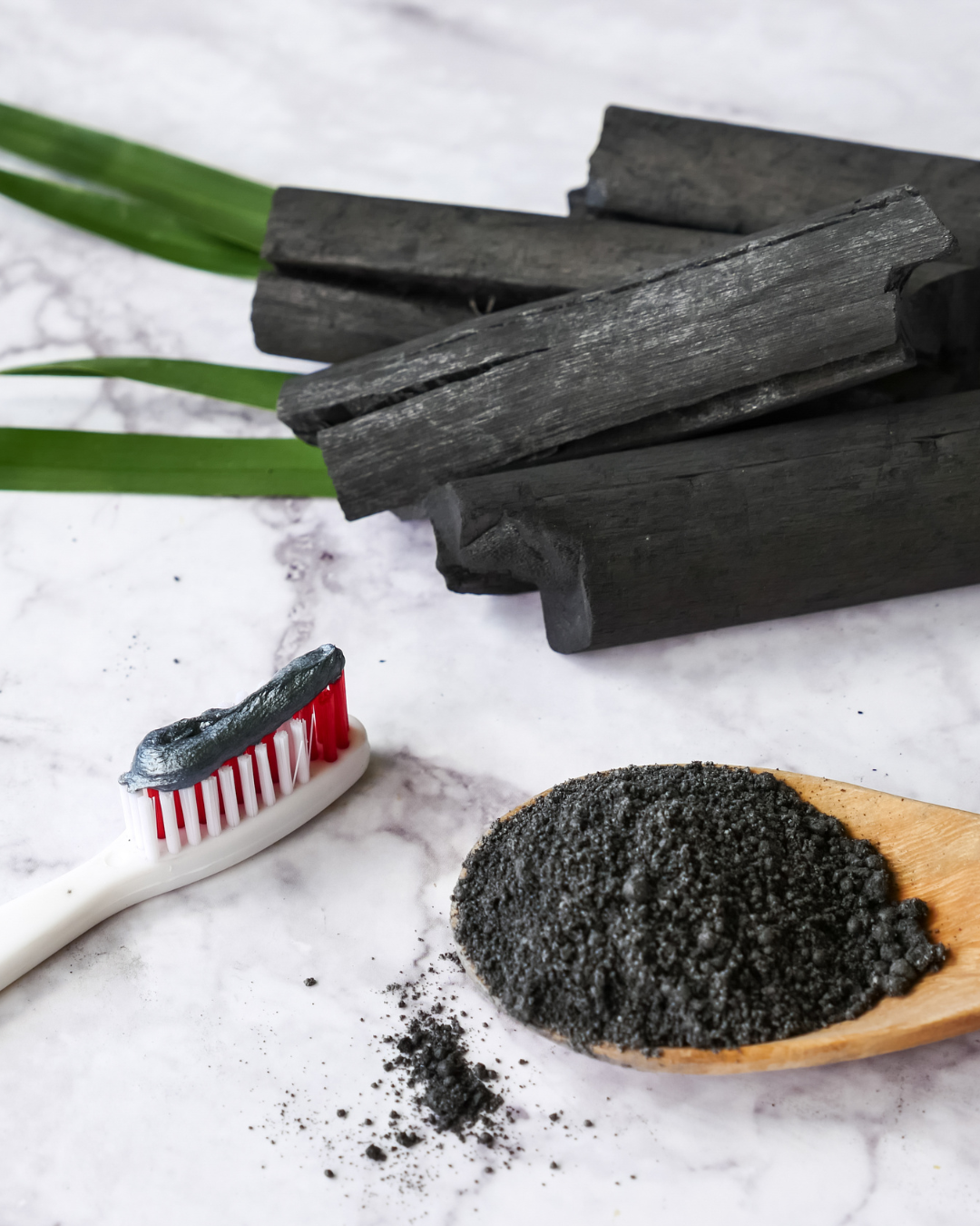 Activated Charcoal Powder – Botanical Carbon