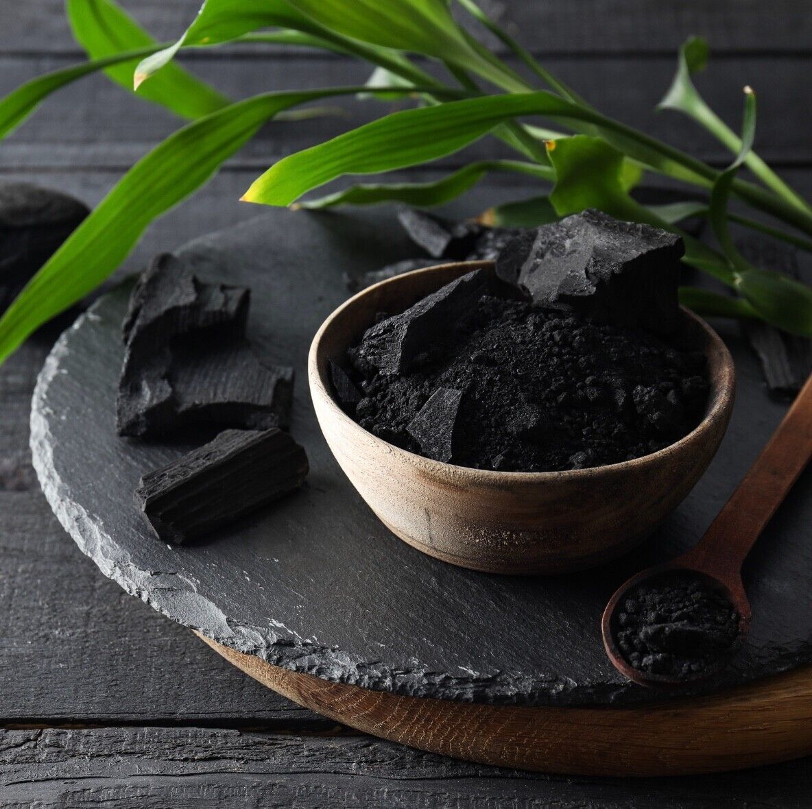 Activated Charcoal Powder – Botanical Carbon