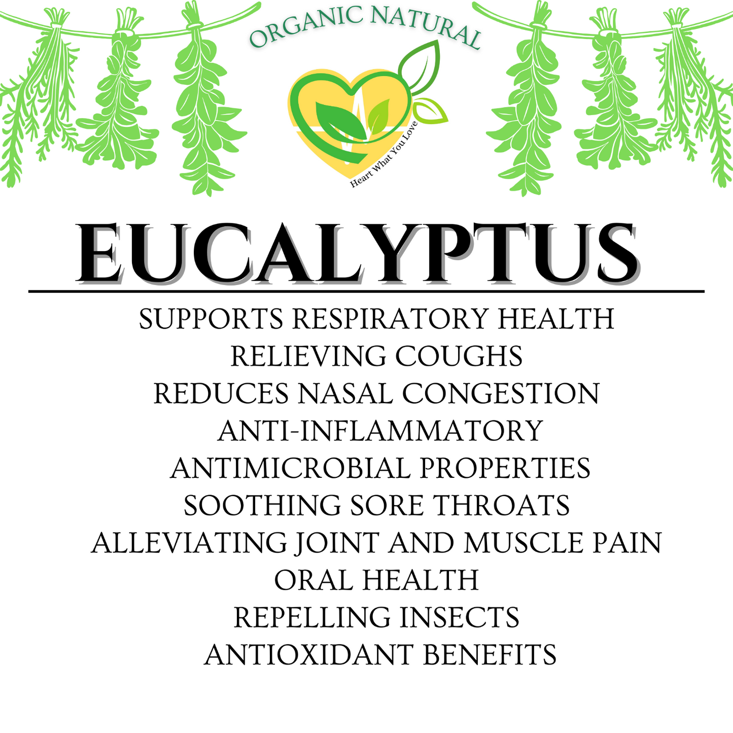 Eucalyptus Leaf Tincture Natural Organic Liquid Herbal Drop 2 oz Respiratory Aid
