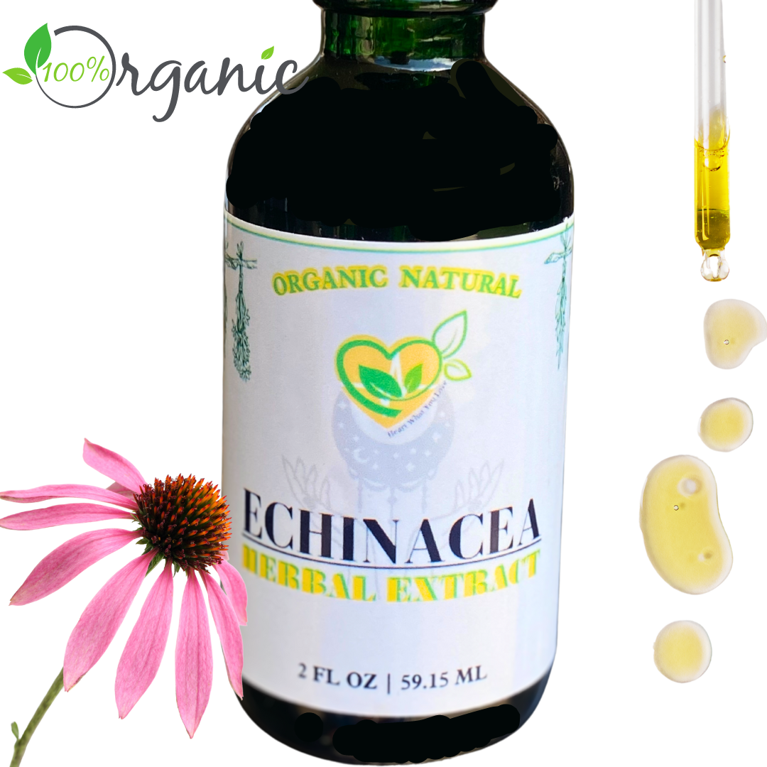 Echinacea Purpurea Non-Alcohol Extract Organic Liquid Drops 2 oz Immune Tincture