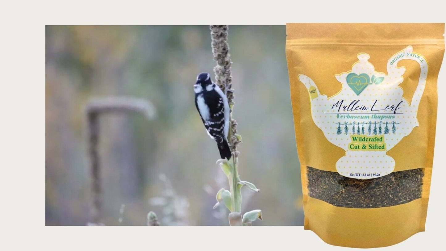 "Organic Mullein Leaf Tea 3.5 oz Loose Herb for Breath Support"