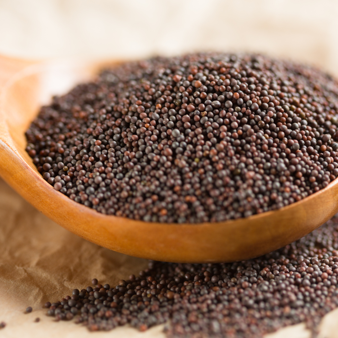 Brown mustard seed whole culinary pickling spice 1 oz
