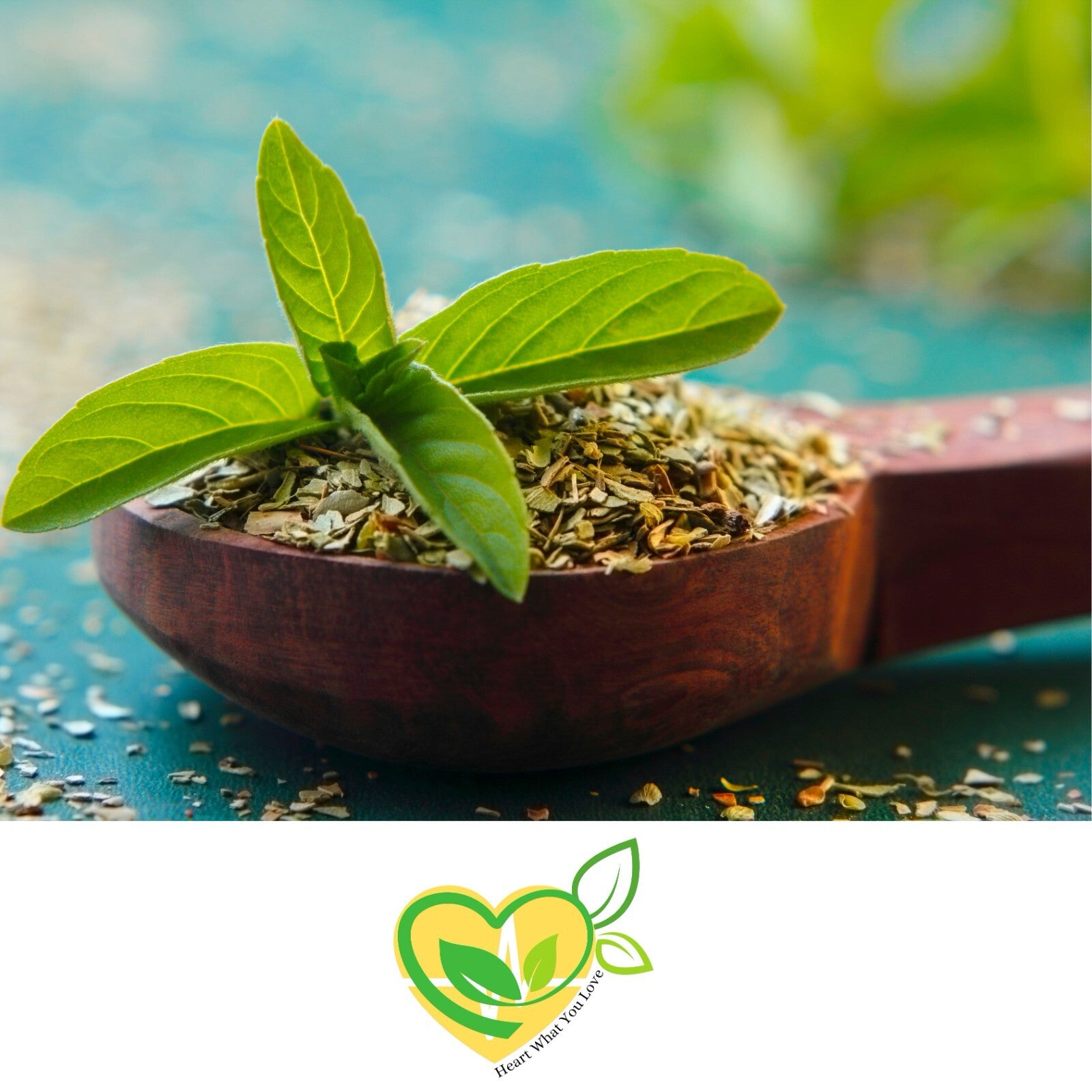 Tulsi Holy Basil cut and sifted dried leaf 1 oz