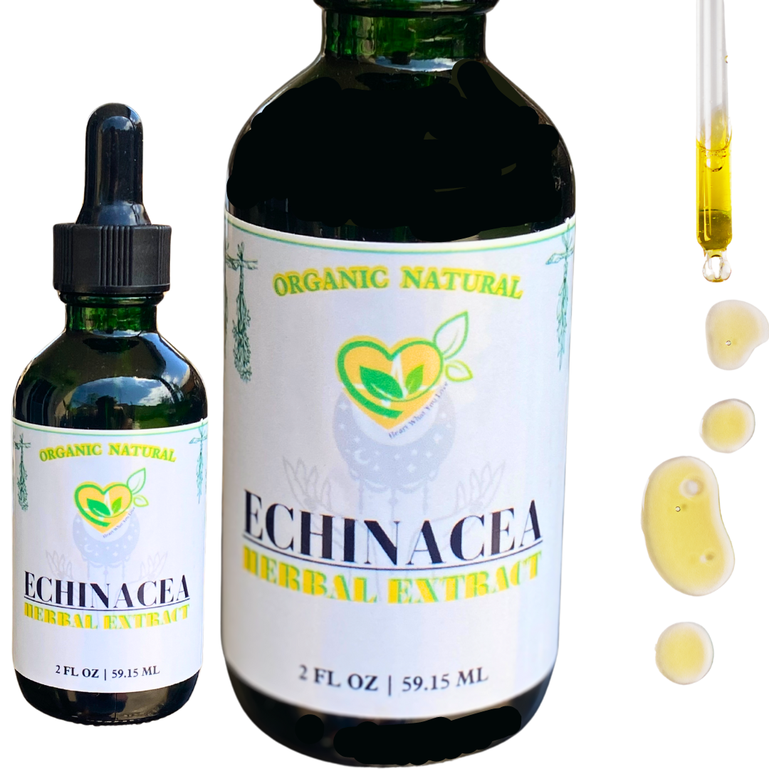 Echinacea Purpurea Non-Alcohol Extract Organic Liquid Drops 2 oz Immune Tincture