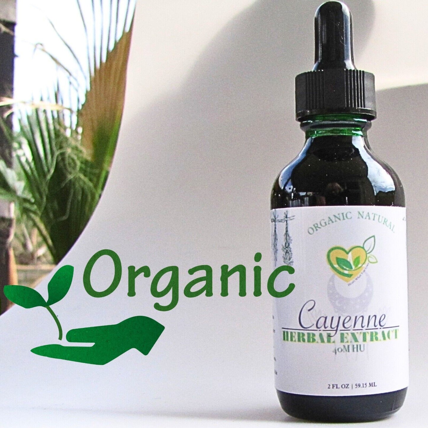 Cayenne Extract 40M HU Non-Alcohol Liquid Herbal Drops Natural 2oz Zesty Aid