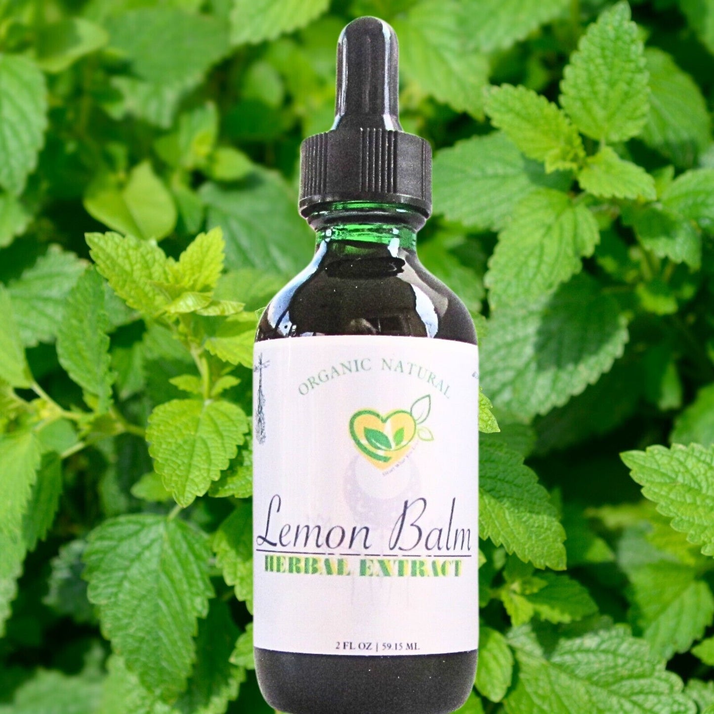 Lemon Balm Extract Non-Alcohol Liquid Herb Drops Organic Natural Aid 2 oz