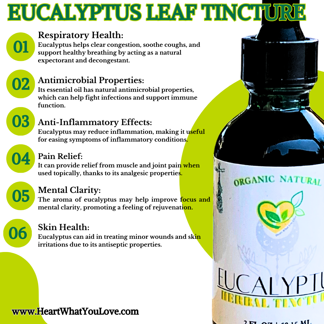 Eucalyptus Leaf Tincture Natural Organic Liquid Herbal Drop 2 oz Respiratory Aid