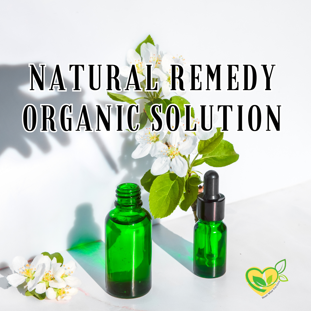 Butterfly Pea Flower Tincture Organic Liquid Herbal Drops 2 oz Anxiolytic Tonic