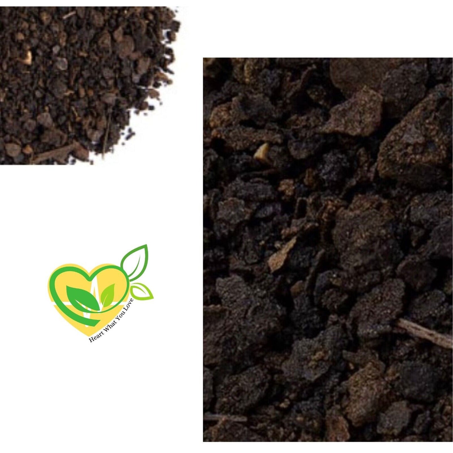 Black Walnut Hull – Cut & Sifted Herb | Organic Natural Parasite Detox | 1 oz/4 oz/8 oz