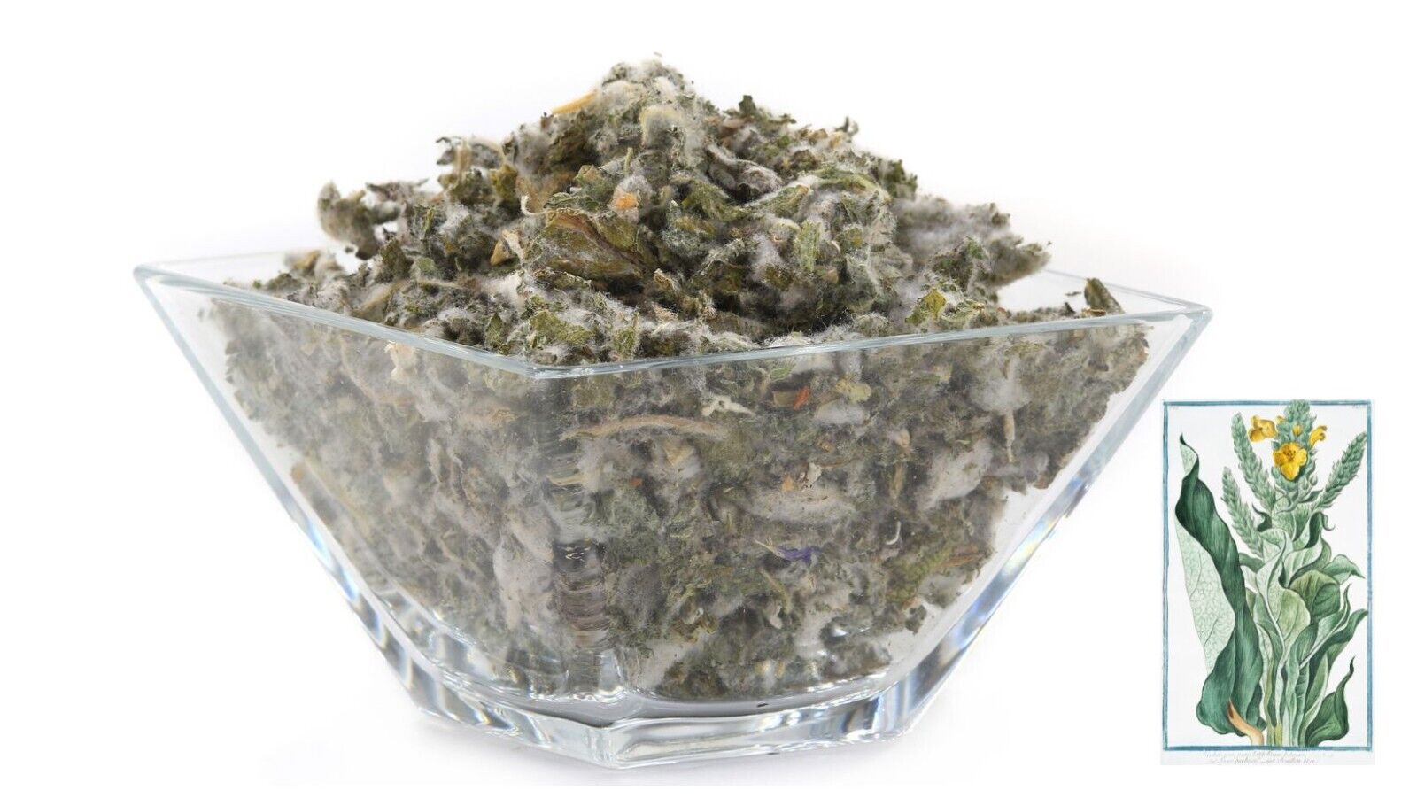 Mullein Leaf Tincture Extract 2 Oz - Natural Remedy for Breathing & Respiratory"