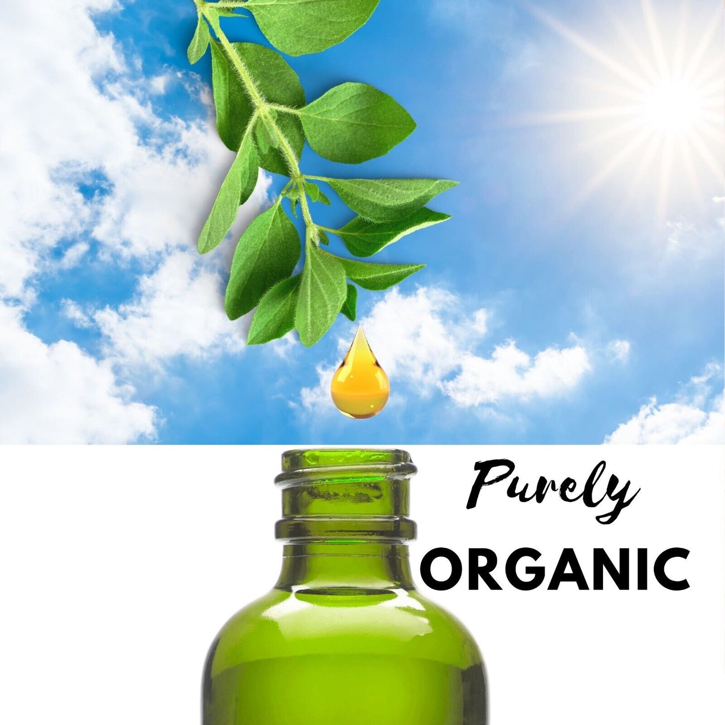 Lemon Balm Tincture Power Liquid Herb Drops Organic Natural Calm 2 oz Bottle