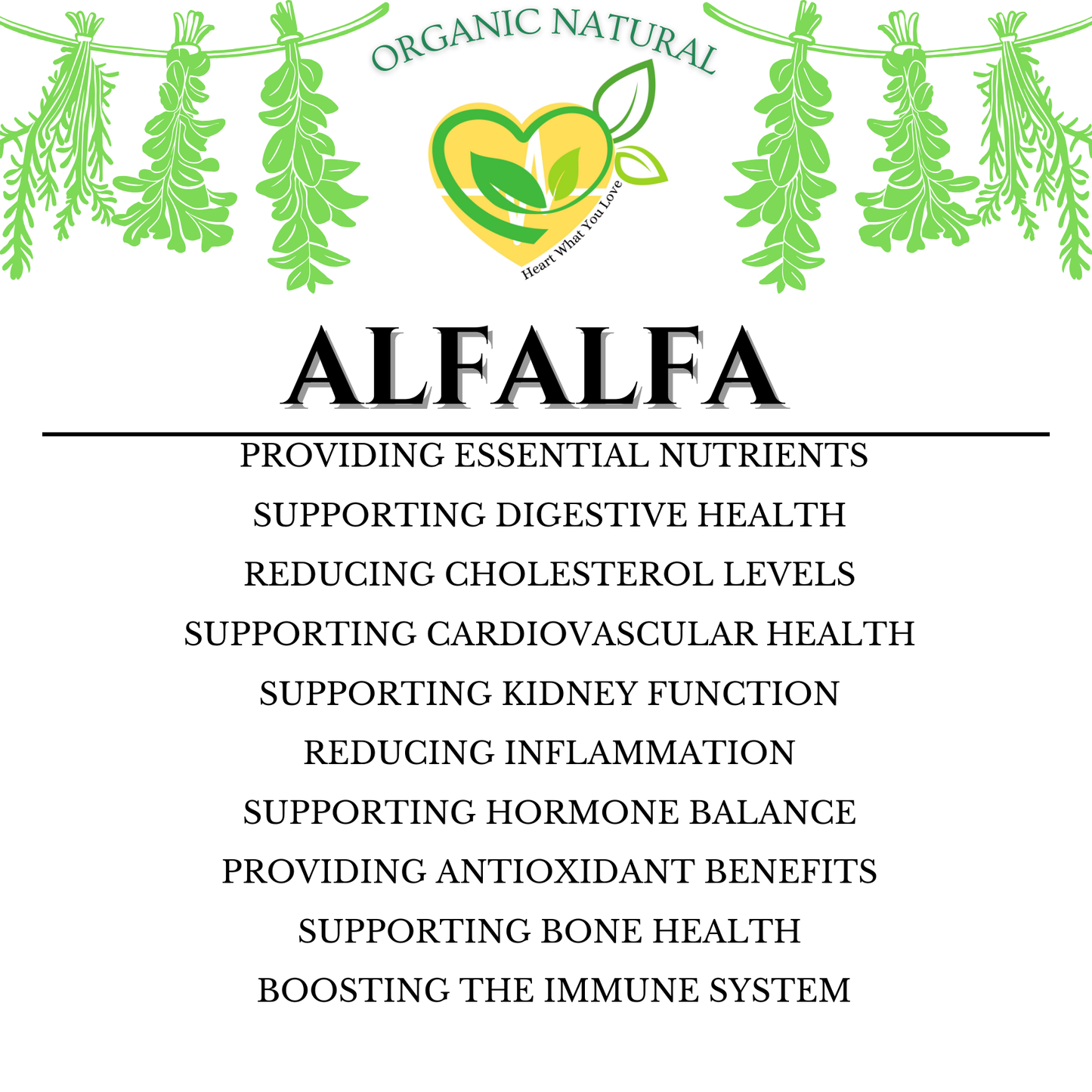 Alfalfa Leaf Cut & Sifted Organic Herb Natural Botanical Plant-base 28.3g / 1 oz