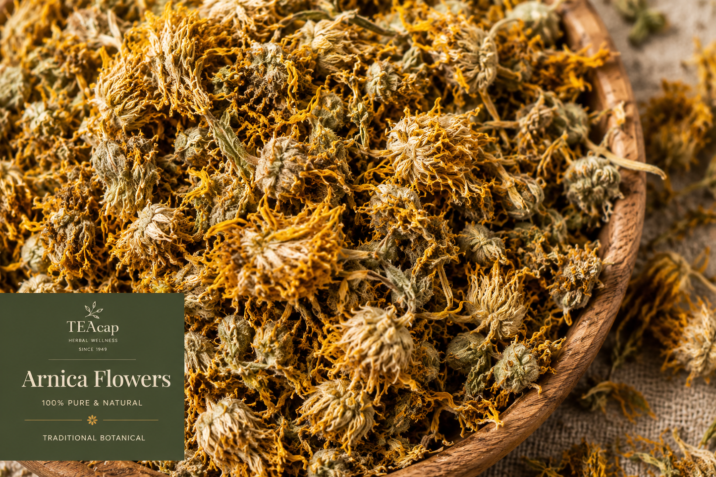 Arnica Flowers Whole or Powder | Arnica montana | 1 oz, 4 oz, 8 oz