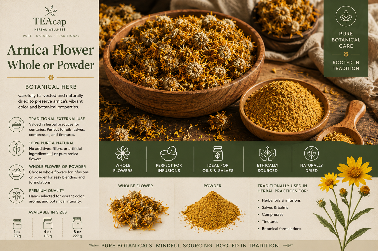 Arnica Flowers Whole or Powder | Arnica montana | 1 oz, 4 oz, 8 oz