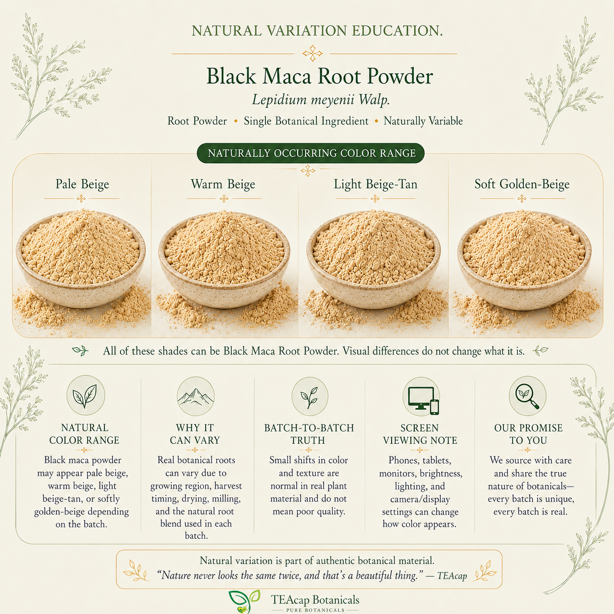Black Maca Root Powder | Lepidium meyenii | Pure Botanical Powder – Raw Peruvian, Non-GMO, Vegan, Gluten-Free