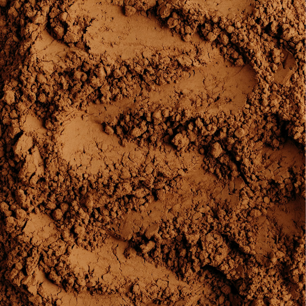 Chicory Root Powder (Cichorium intybus)