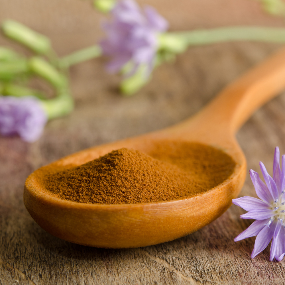 Chicory Root Powder (Cichorium intybus)