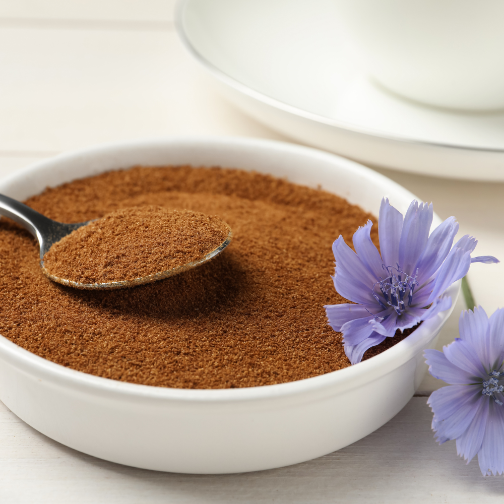 Chicory Root Powder (Cichorium intybus)