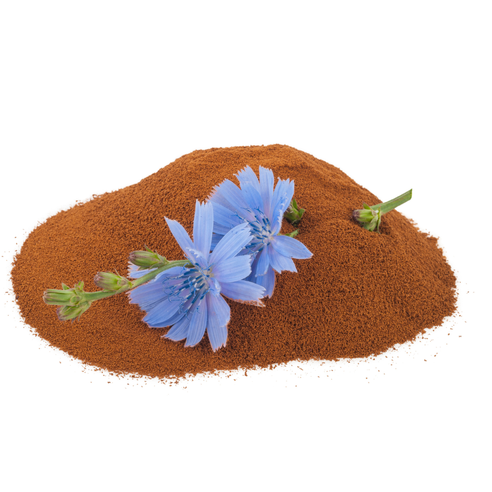 Chicory Root Powder (Cichorium intybus)