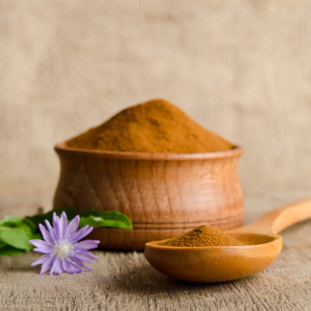 Chicory Root Powder (Cichorium intybus)