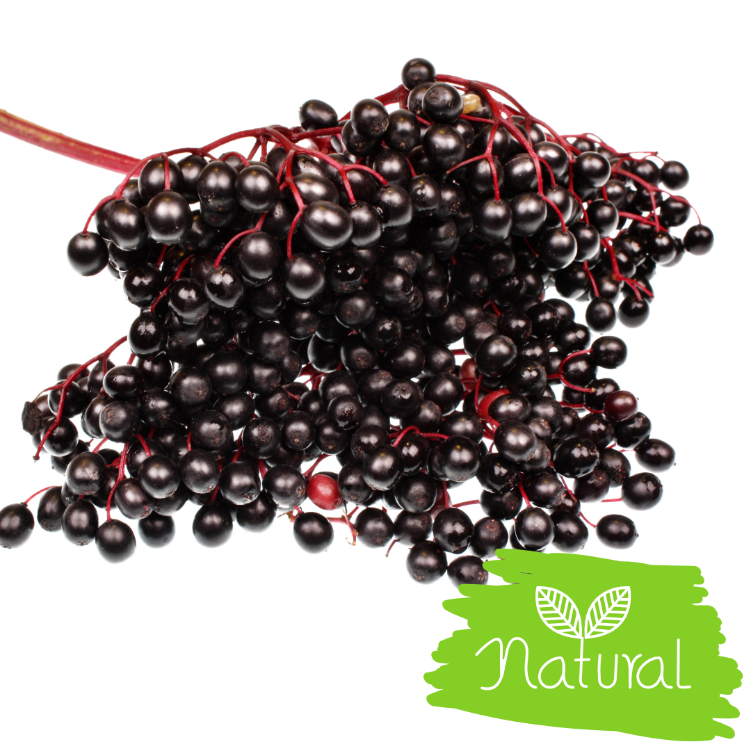Elderberry Dried Whole Sambucus nigra Organic Kosher Berries Natural 1/4/8 OZ
