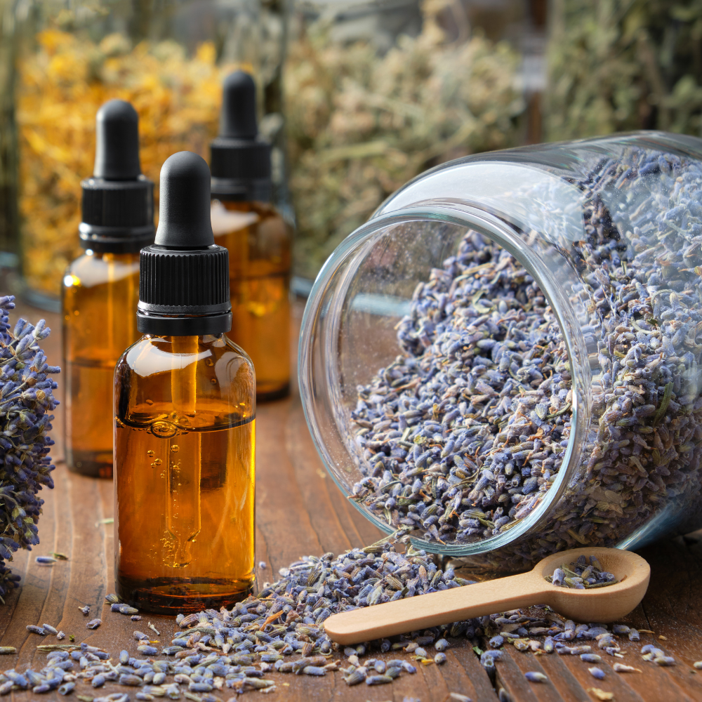 Lavender Flower Buds, Dried, USDA Organic, Kosher, 1 oz / 4 oz / 8 oz