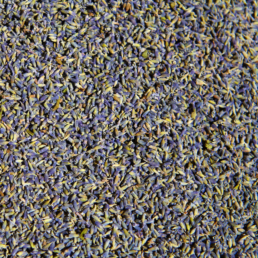 Lavender Flower Buds, Dried, USDA Organic, Kosher, 1 oz / 4 oz / 8 oz