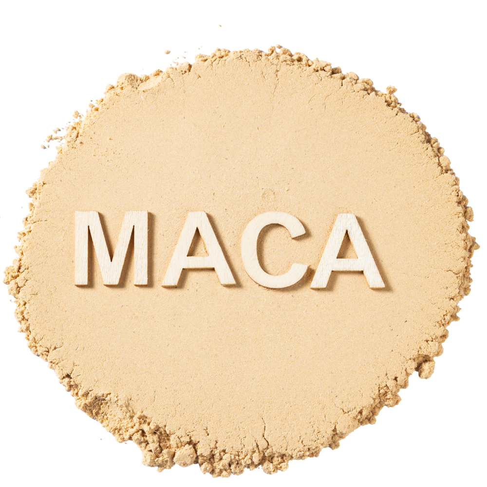 Yellow Maca Root Powder | Lepidium meyenii | Peruvian Botanical Powder