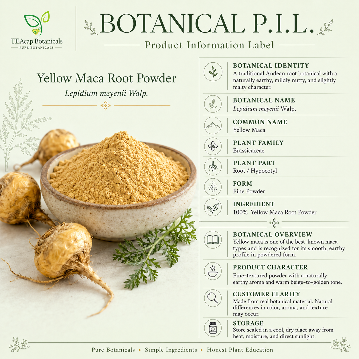 Yellow Maca Root Powder | Lepidium meyenii | Peruvian Botanical Powder