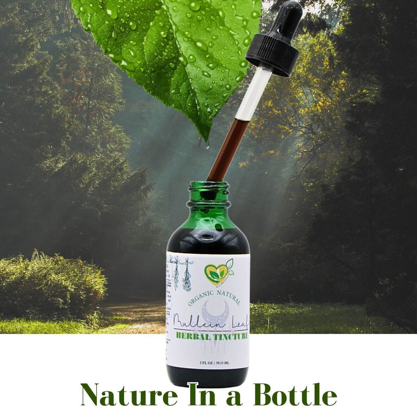 Mullein Leaf Tincture 2 Oz - Natural Herbal Extract for Respiratory Relief"