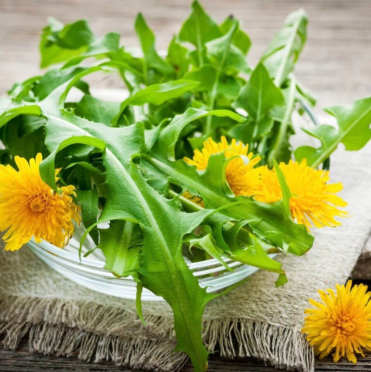 "Dandelion Leaf Organic Herb 28.3g, Natural, Cut & Sifted, Kosher Certified 1 OZ Bag"