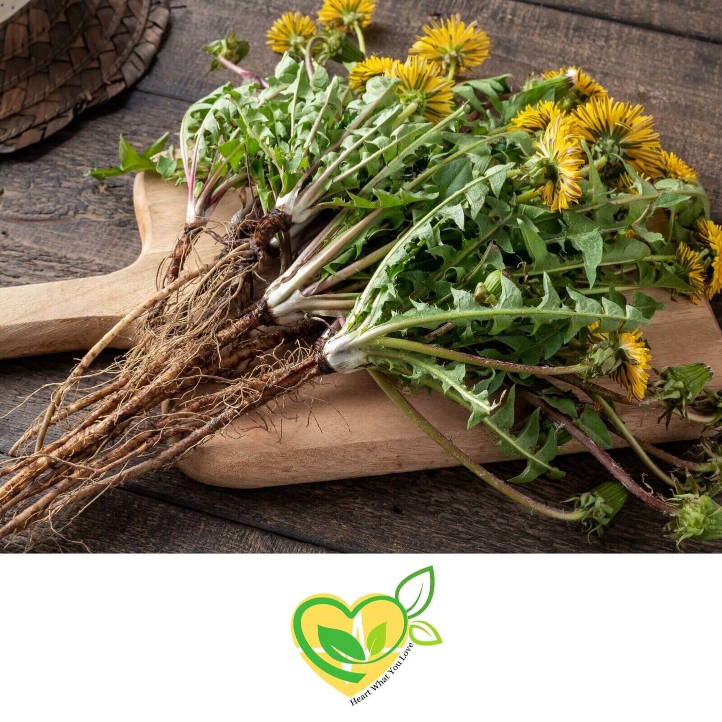 Organic Dandelion Leaf Cut & Sifted 28.3g, Kosher Certified, Natural Herb 1 OZ Bag