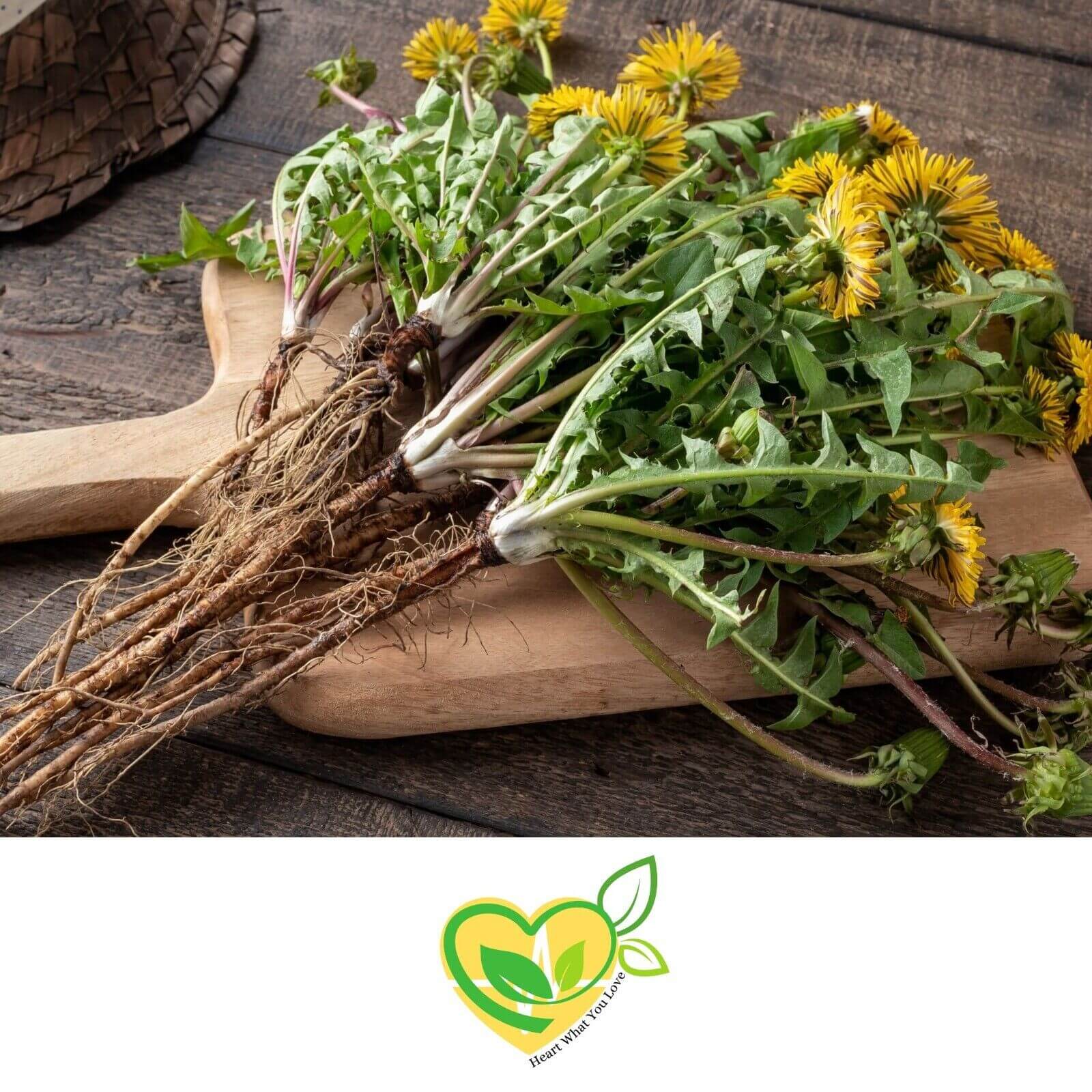 Organic Dandelion Leaf Cut & Sifted 28.3g, Kosher Certified, Natural Herb 1 OZ Bag