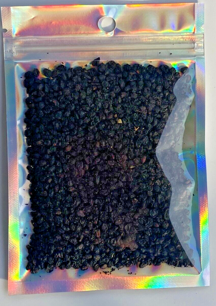 Elderberry Dried Whole Sambucus nigra Organic Kosher Berries Natural 1/4/8 OZ