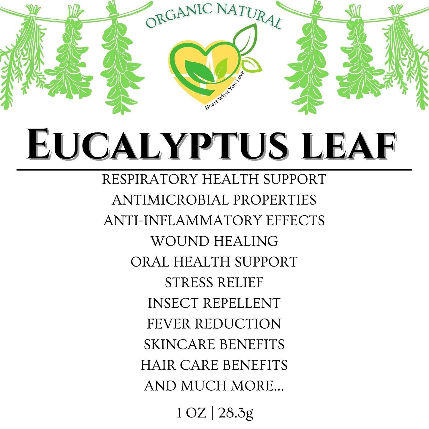 Eucalyptus Leaf Herb Natural Organic Dried Cut Kosher 28.3g | 1 OZ Botanical Aid