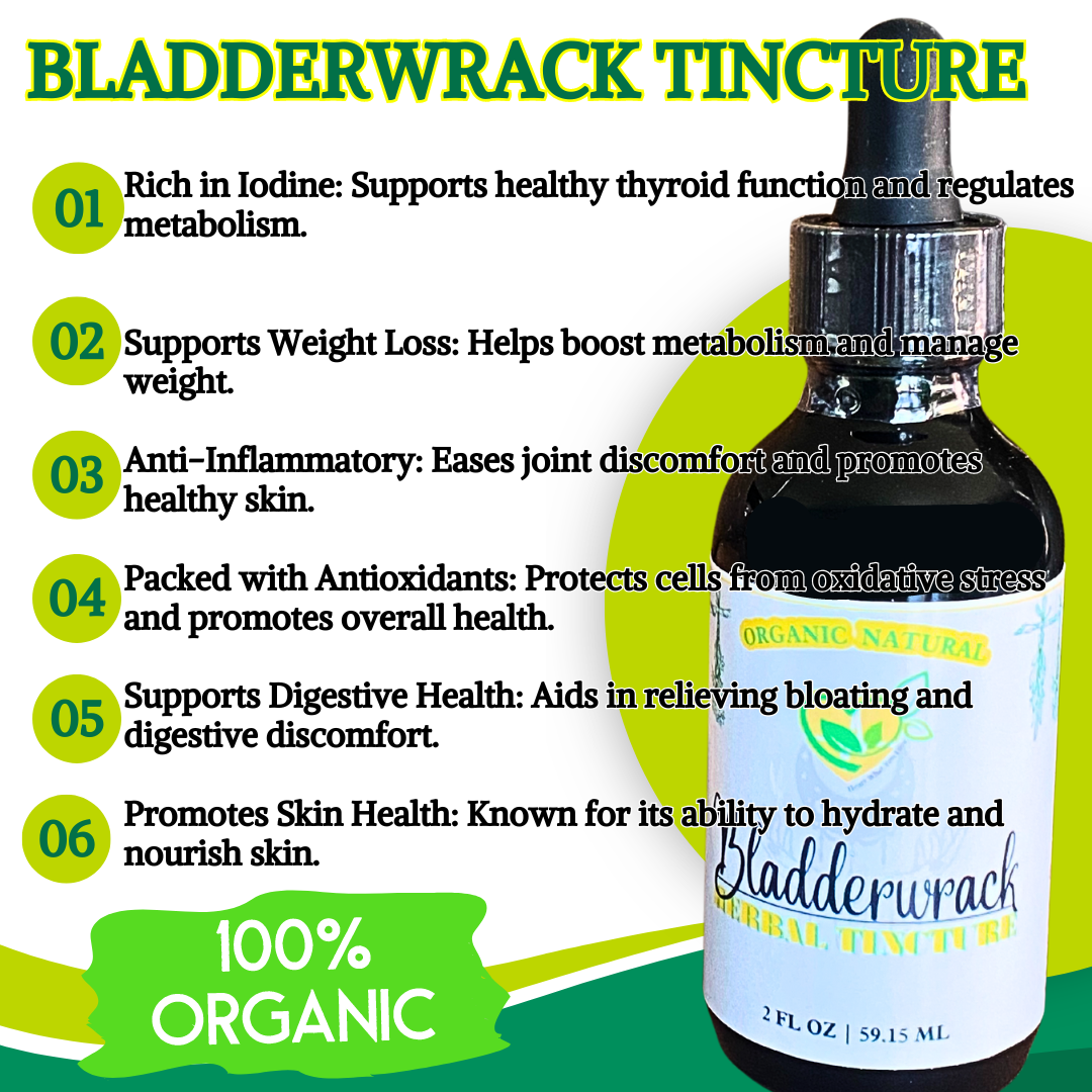 Bladderwrack Tincture Natural Organic Liquid Herbal Drops 2 oz Thyroid Support