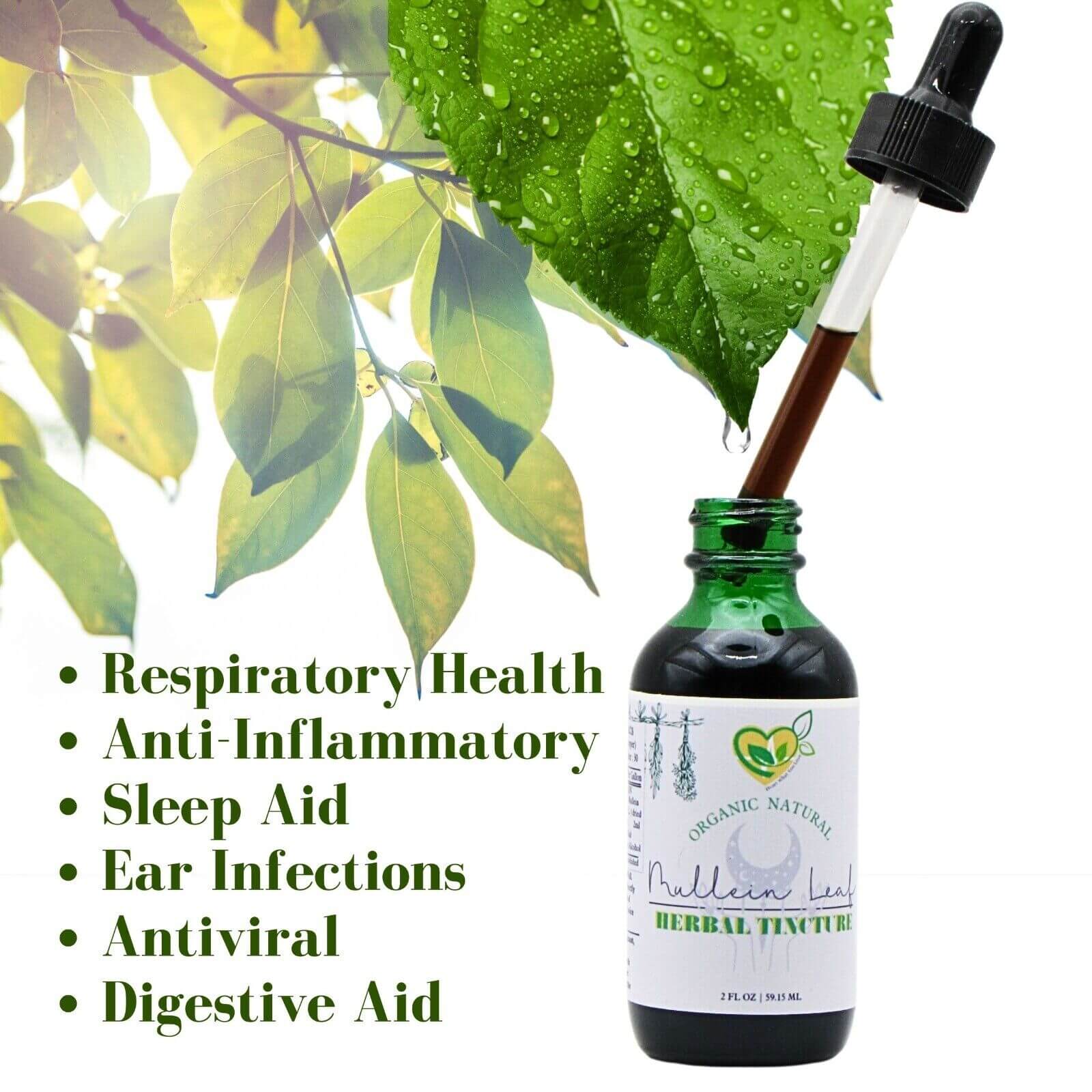 "2 Oz Mullein Leaf Liquid Extract for Healthy Lungs and Respiratory Function"