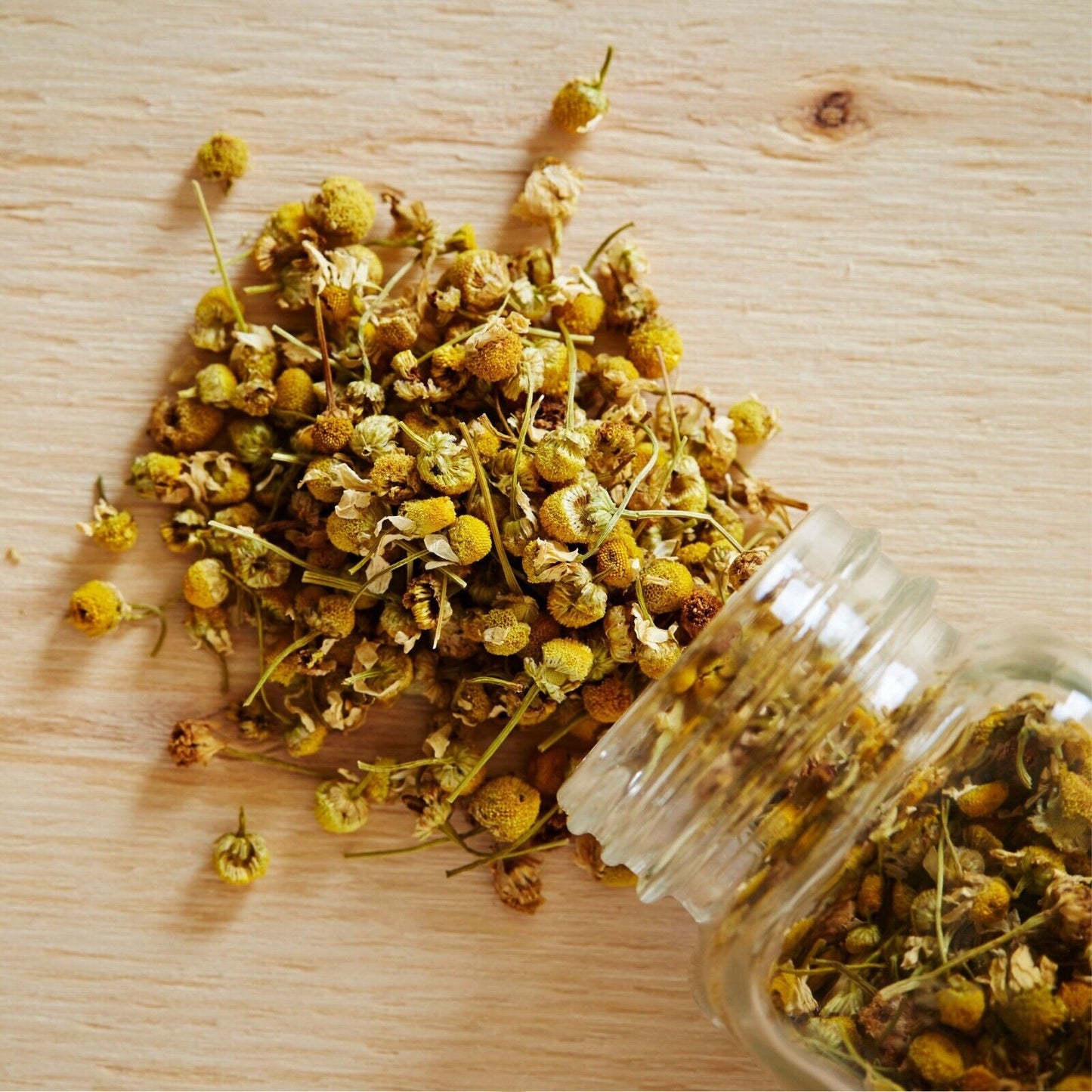 Organic Chamomile Flower Cut & Sifted Herb Natural Plant-base 28.3g | 1 oz Mood
