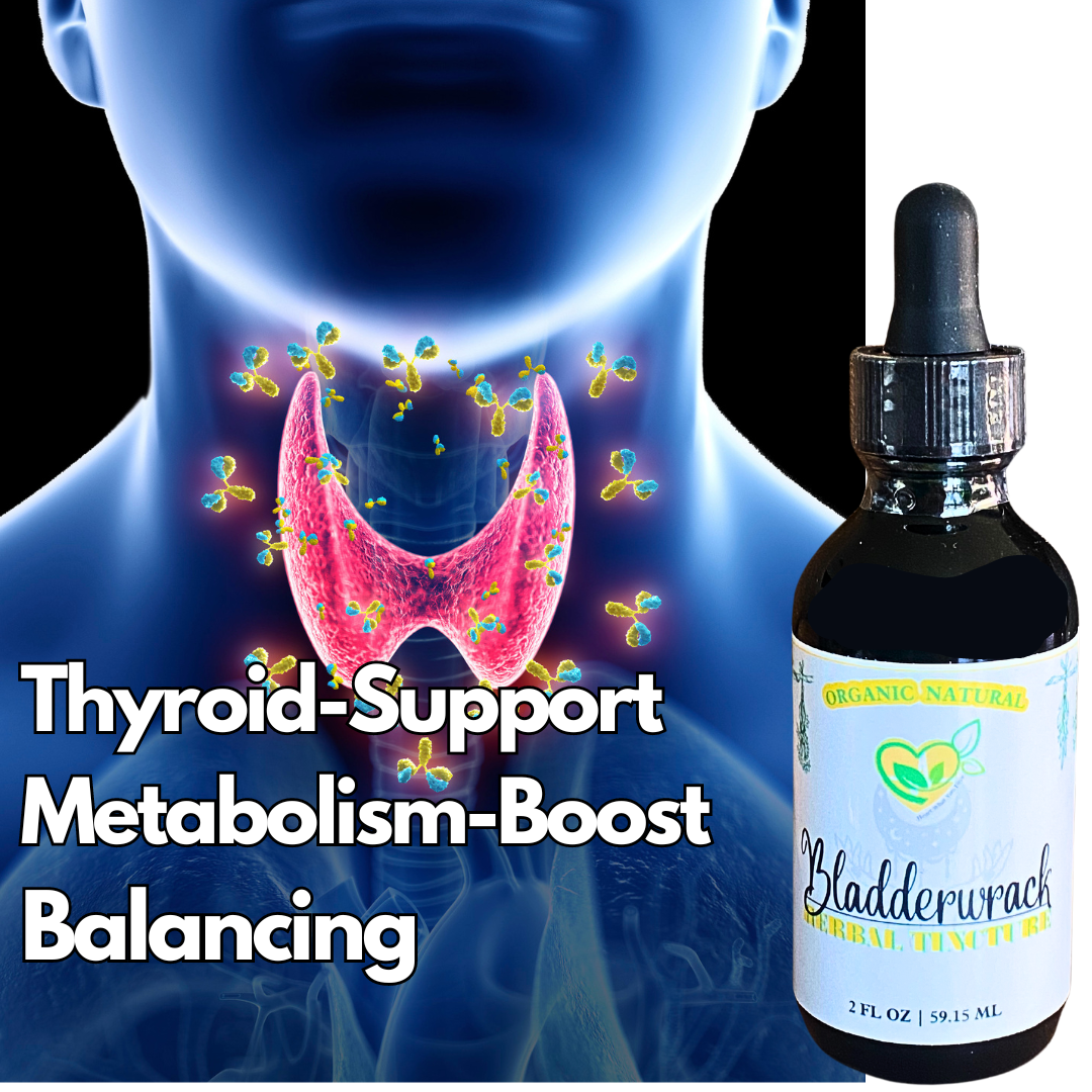 Bladderwrack Tincture Natural Organic Liquid Herbal Drops 2 oz Thyroid Support