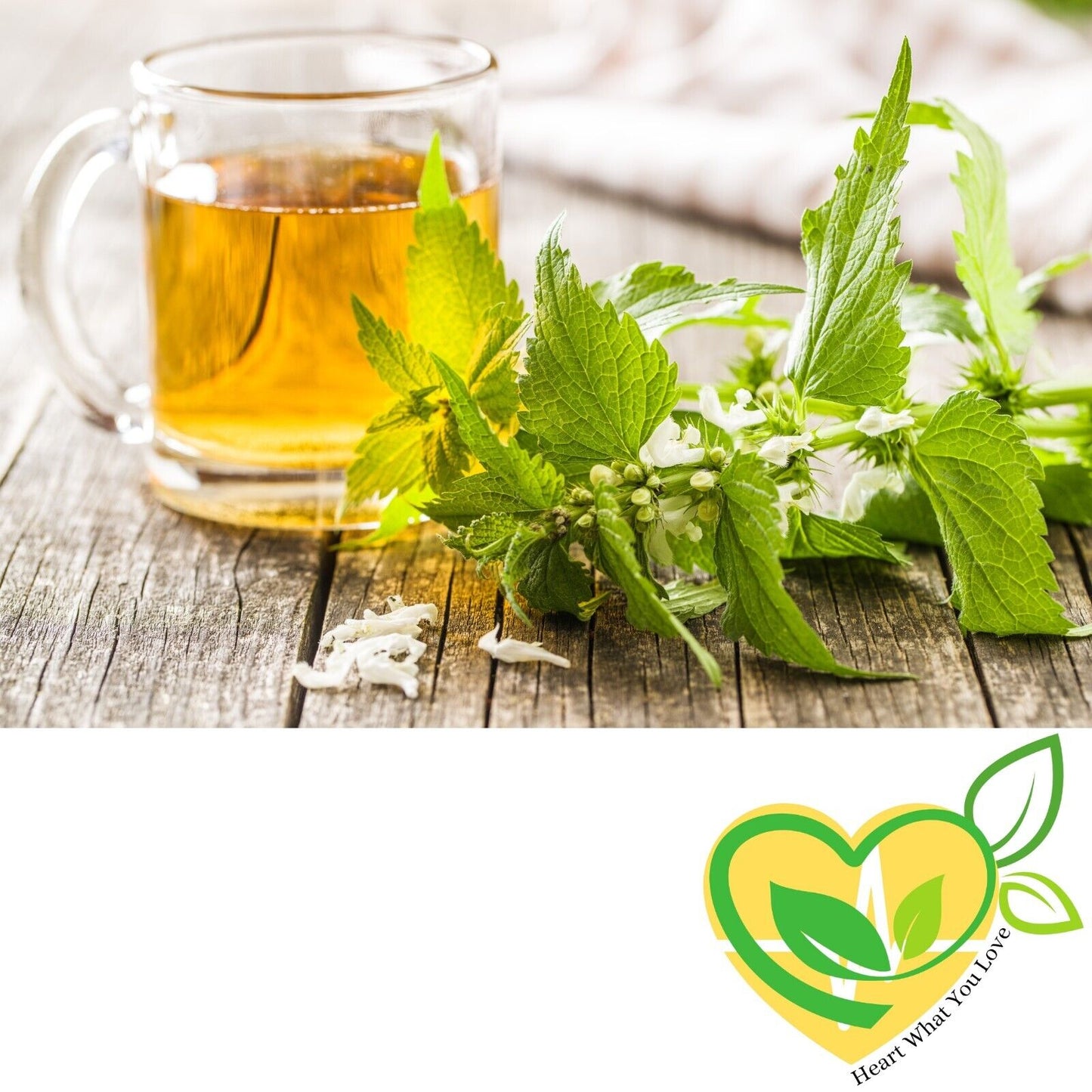 Certified Organic Stinging Nettle Leaf – 1 oz (28.3g) Kosher & All-Natural Herb
