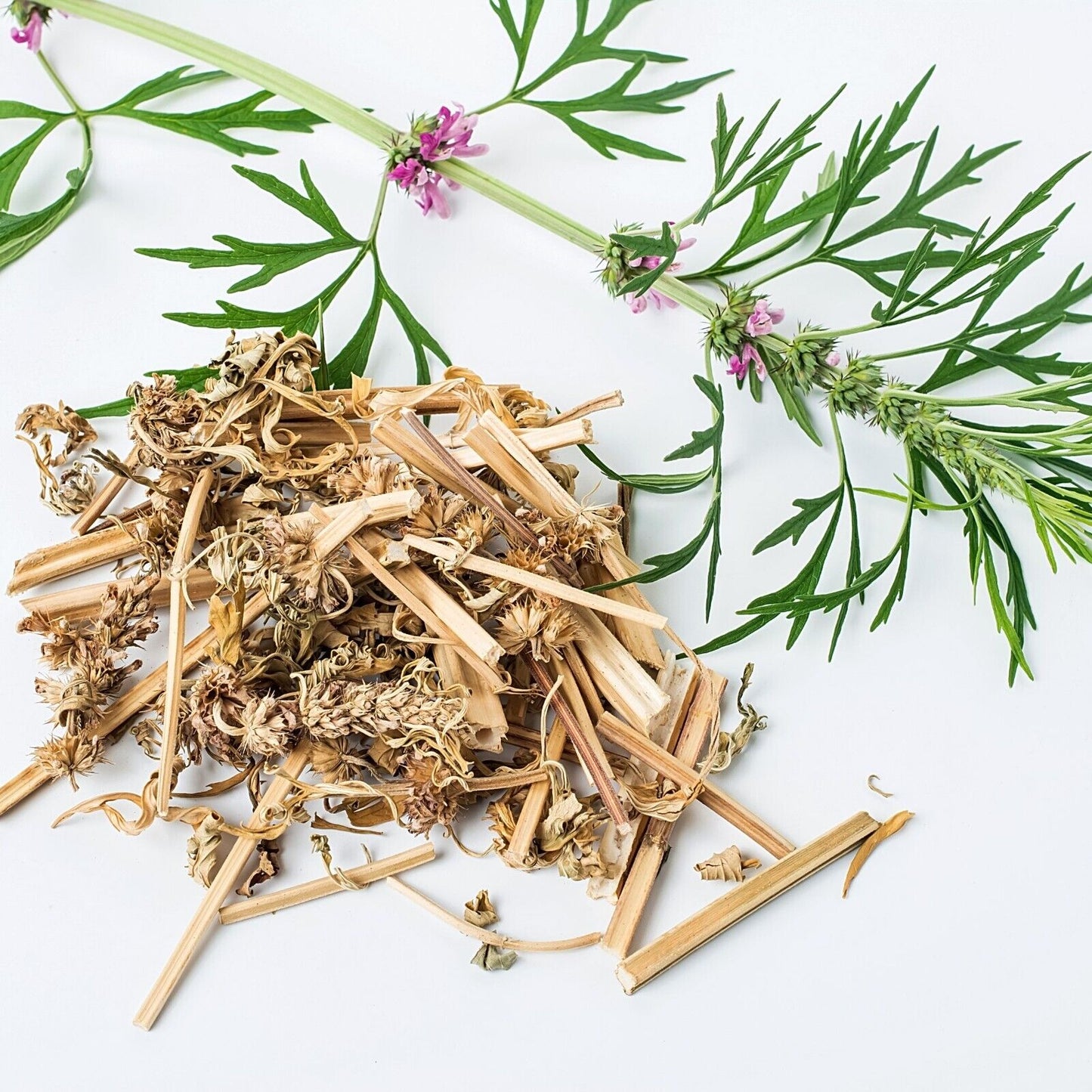 Motherwort Herb Cut & Sifted Organic Natural Herbal 28.3g 1 OZ For Tea, Culinary