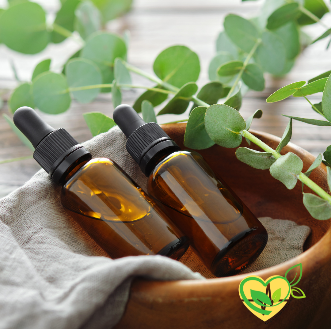 Eucalyptus Leaf Tincture Natural Organic Liquid Herbal Drop 2 oz Respiratory Aid