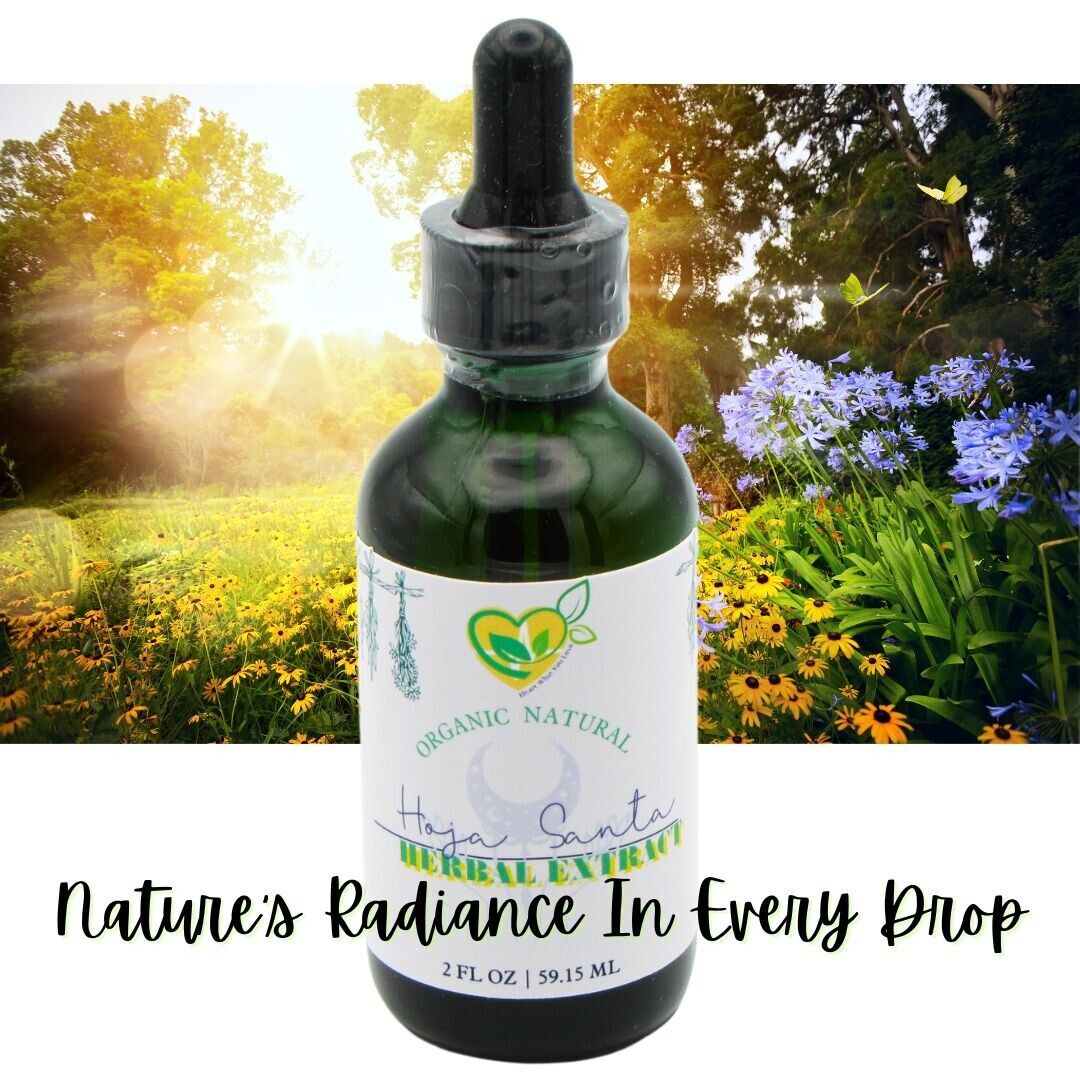 Hoja Santa Tincture Organic Herbal Liquid Drops Natural Plant-Base 2 oz ACUYO